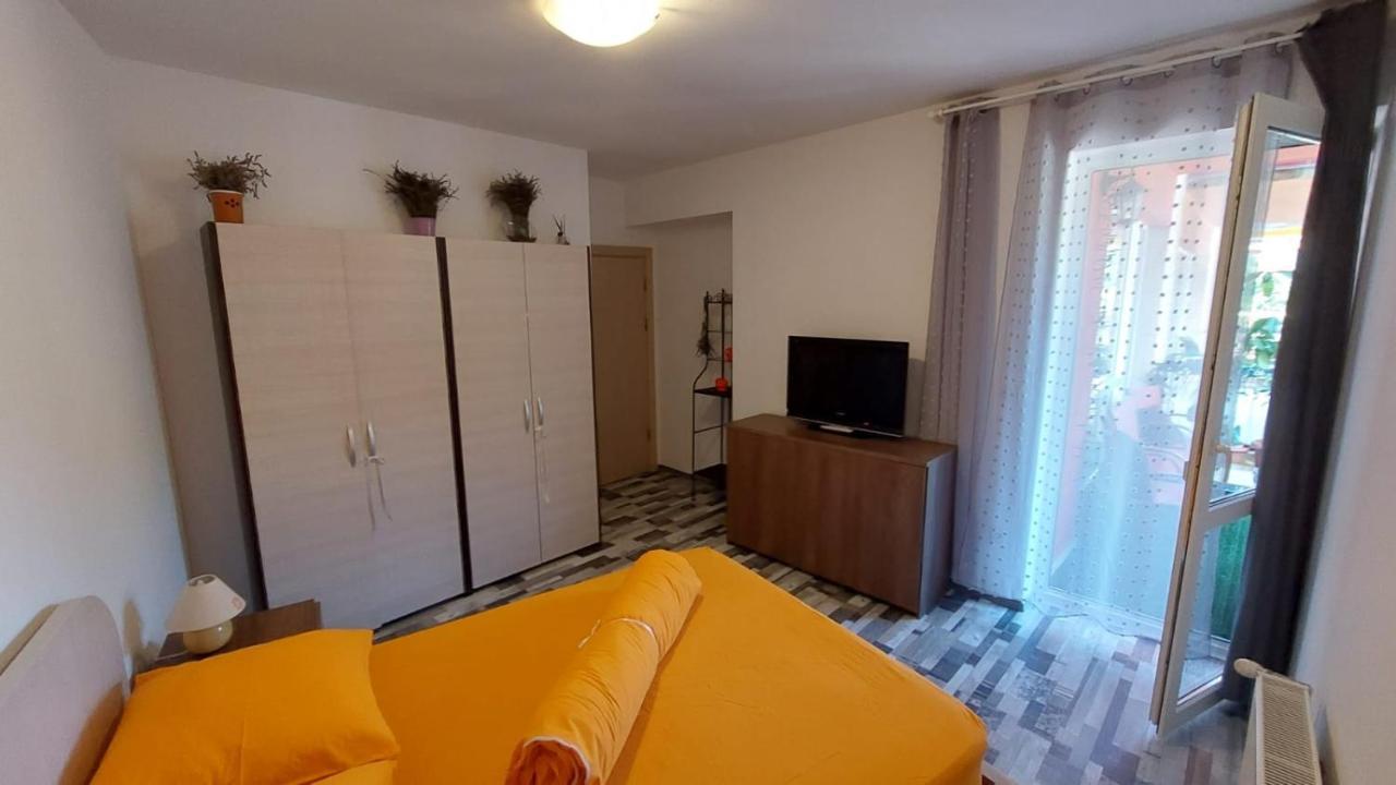 Apartament Ovo シナヤ エクステリア 写真