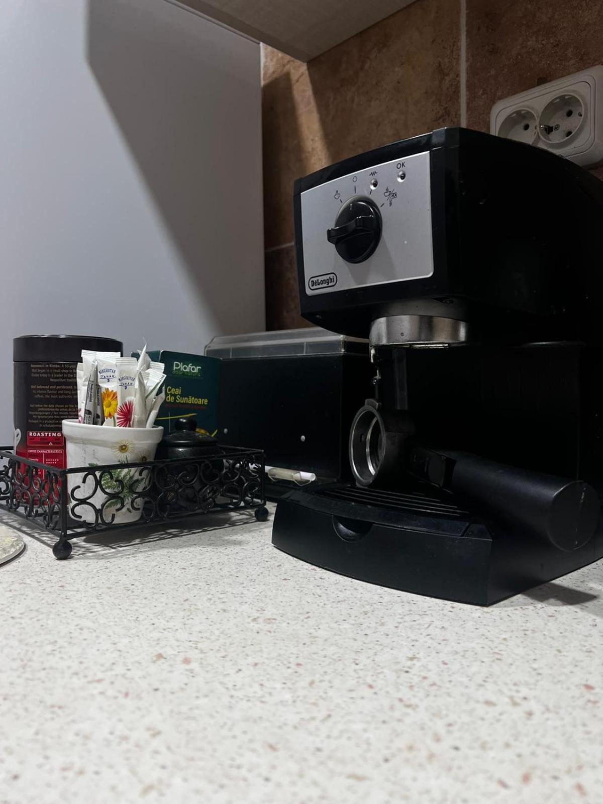 Apartament Ovo シナヤ エクステリア 写真