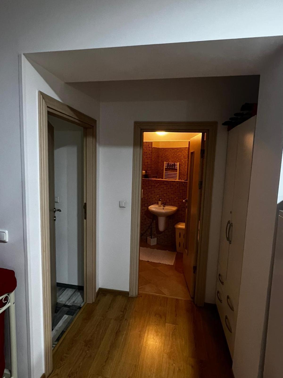 Apartament Ovo シナヤ エクステリア 写真