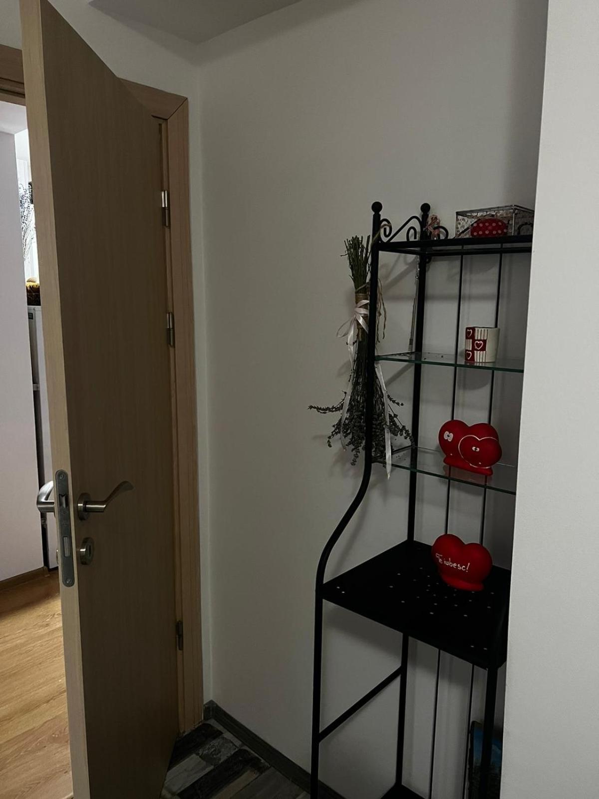Apartament Ovo シナヤ エクステリア 写真